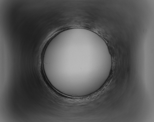 X0000097490005200802220850