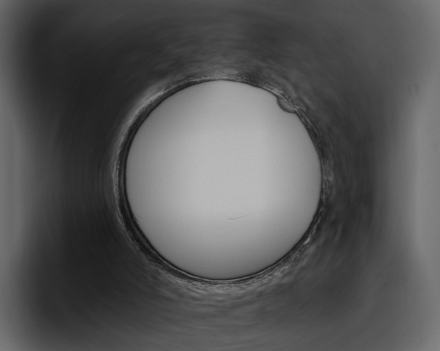 X0000097490006200802220850