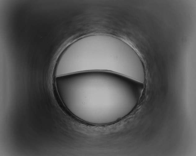 X0000097490007200802220850