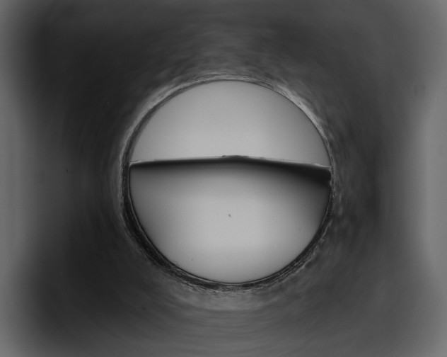 X0000097490008200802220850
