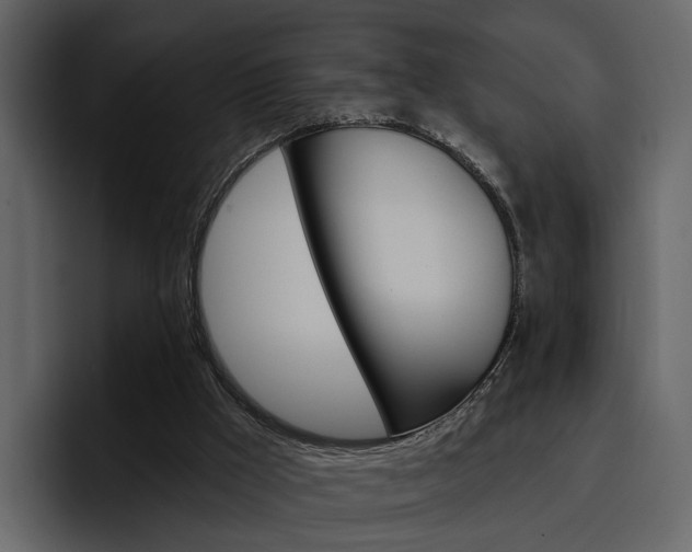 X0000097490009200802220850
