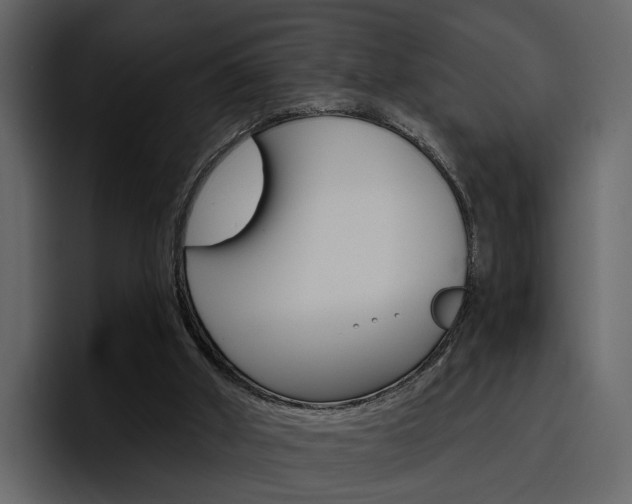 X0000097490010200802220849