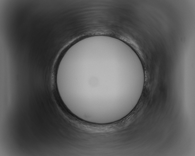 X0000097490012200802220849