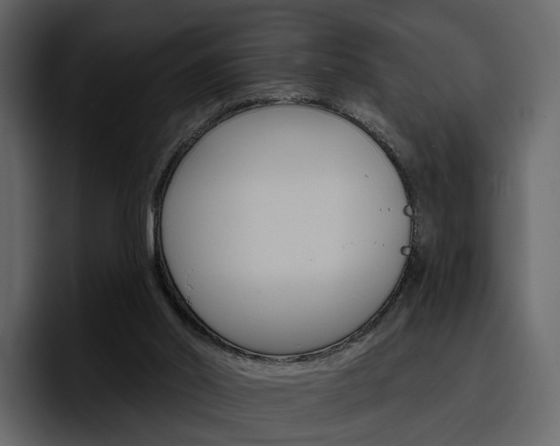 X0000097490014200802220849