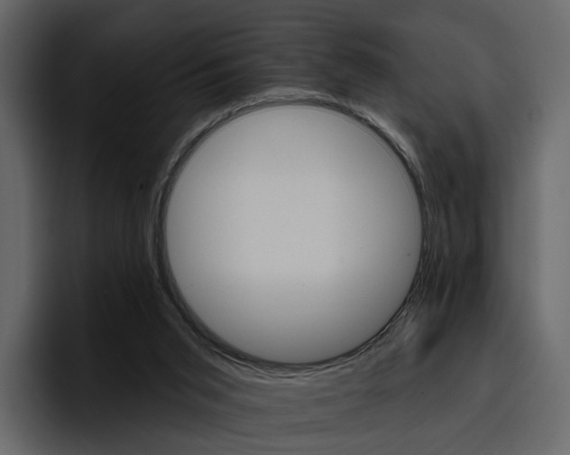 X0000097490015200802220849