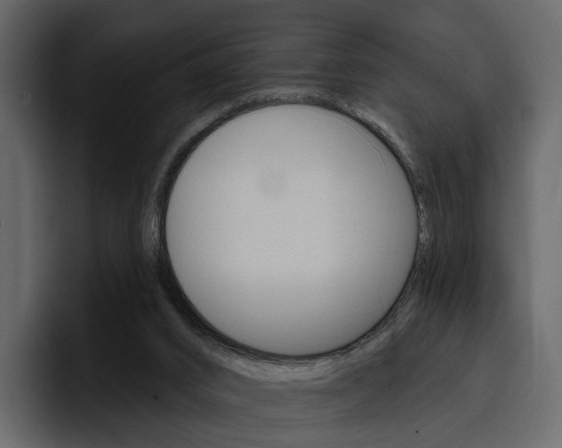 X0000097490016200802220849