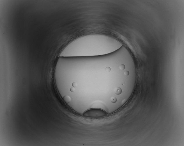 X0000097490018200802220849
