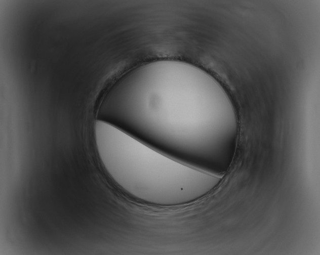 X0000097490019200802220849