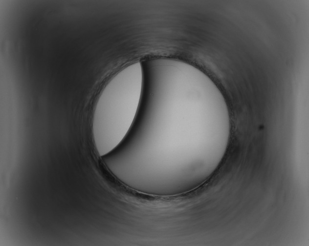 X0000097490020200802220849