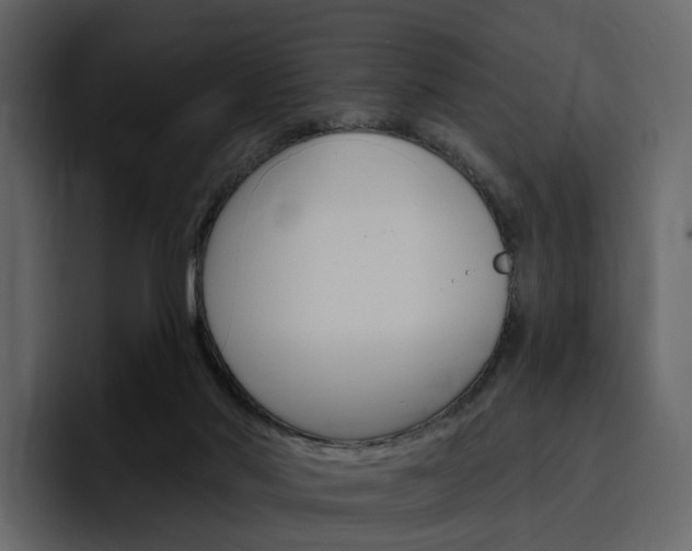 X0000097490022200802220849