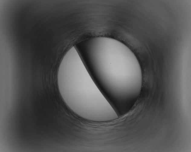 X0000097490025200802220849