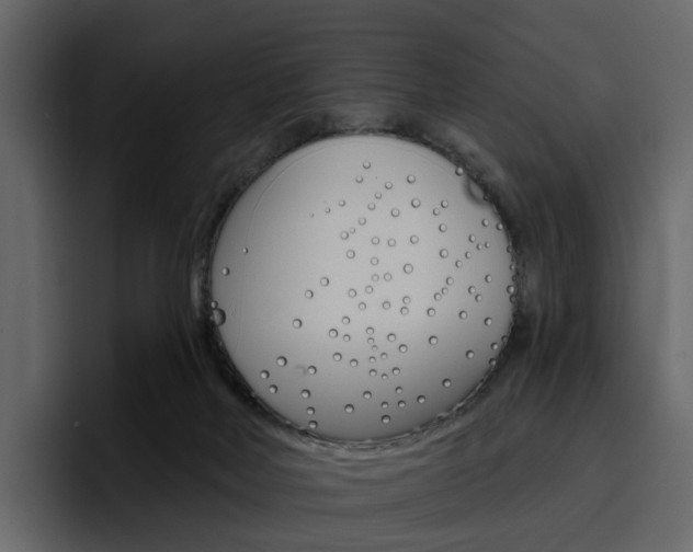 X0000097490026200802220849