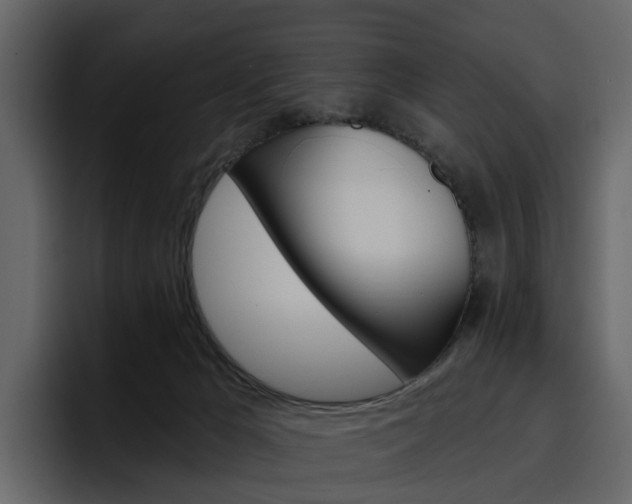 X0000097490029200802220849