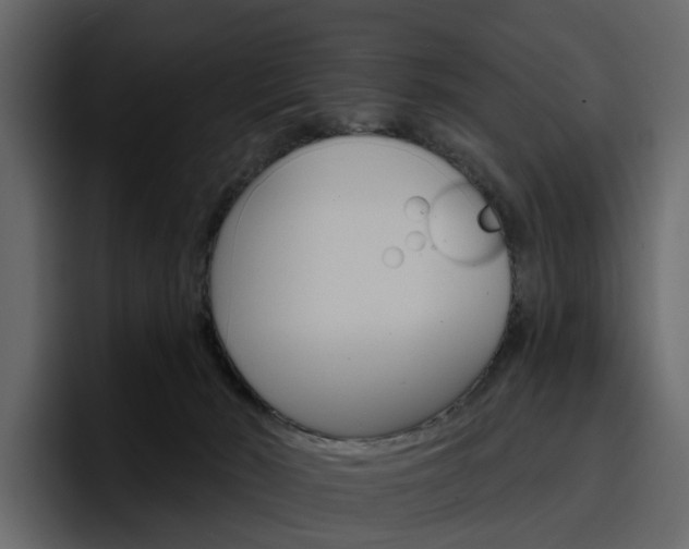 X0000097490030200802220849