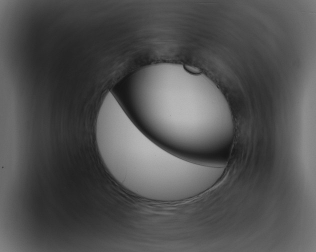 X0000097490033200802220849