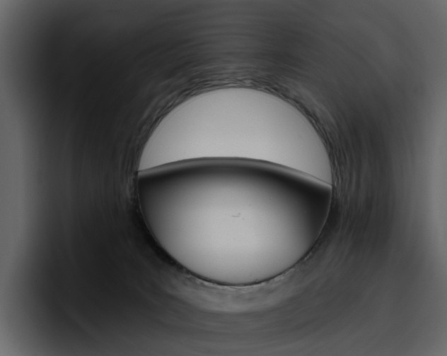 X0000097490035200802220849