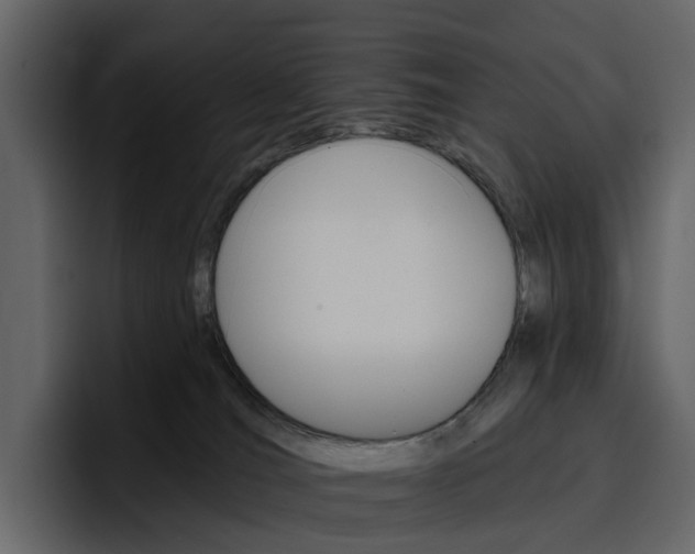 X0000097490036200802220849