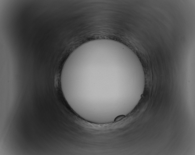 X0000097490038200802220849