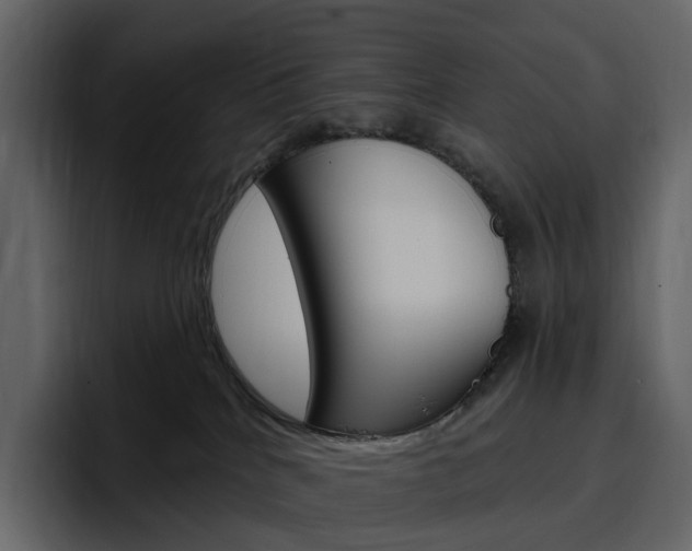 X0000097490040200802220849