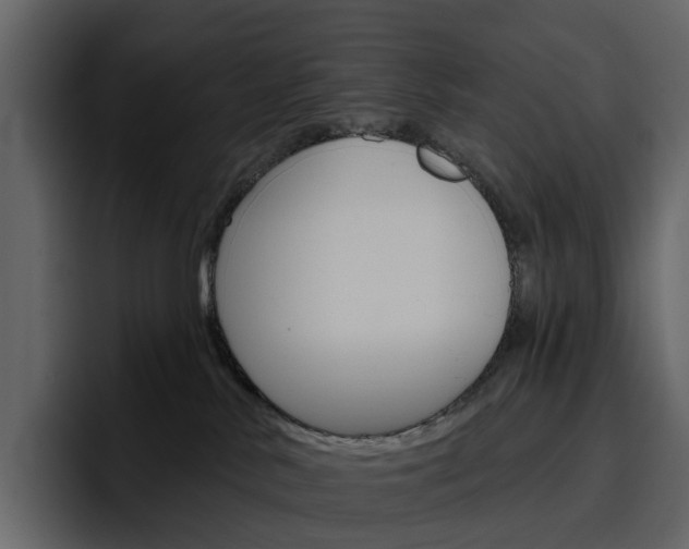 X0000097490042200802220849