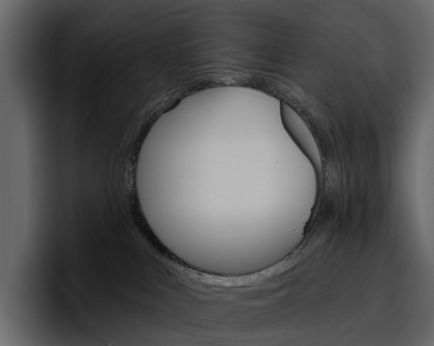 X0000097490043200802220849