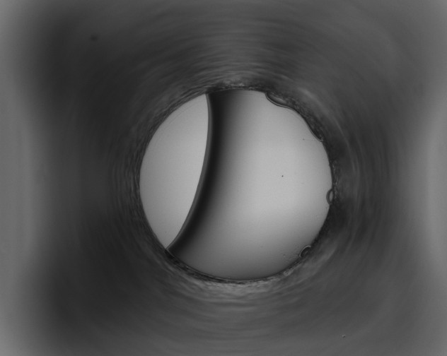 X0000097490044200802220849