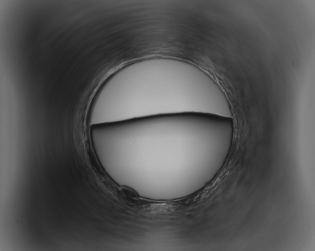 X0000097490050200802220848