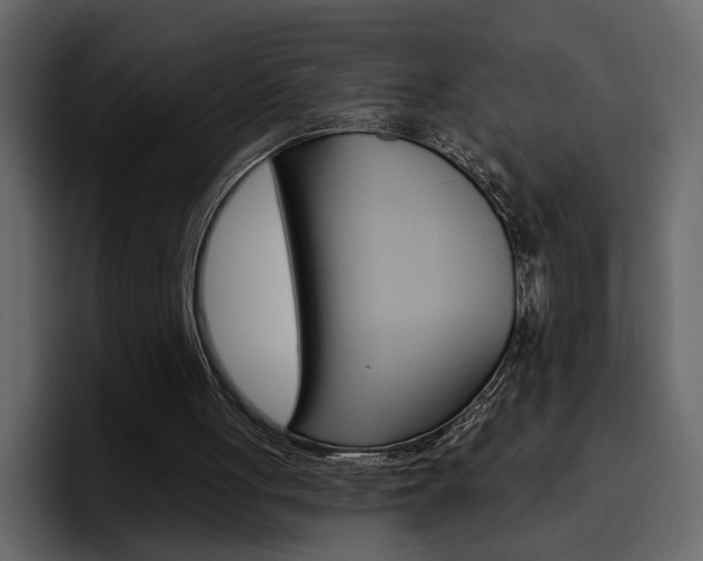 X0000097490051200802220848