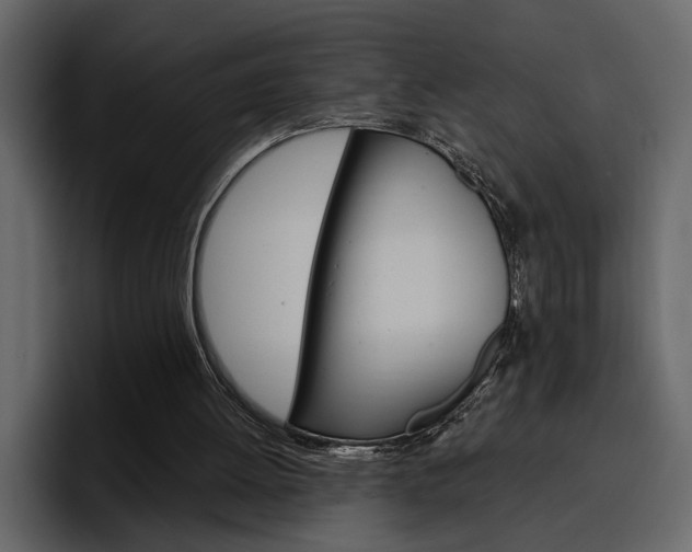 X0000097490052200802220848