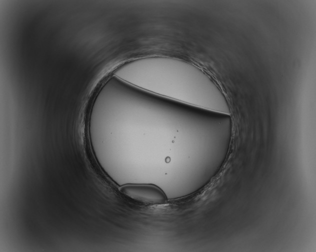 X0000097490054200802220848