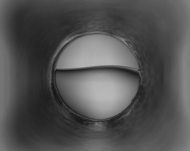 X0000097490056200802220848