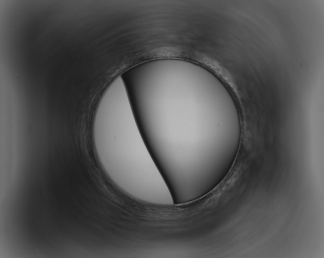 X0000097490057200802220848