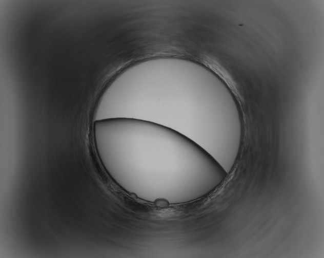 X0000097490058200802220848