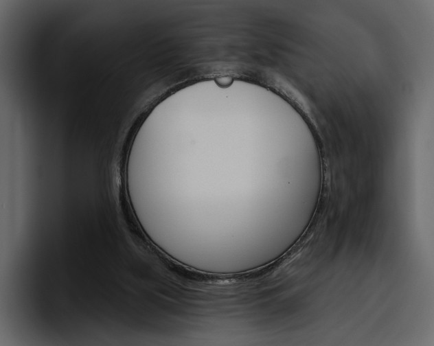 X0000097490059200802220849