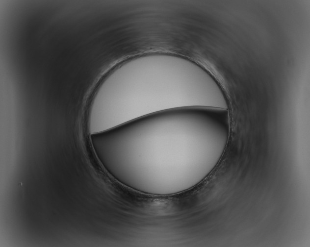 X0000097490060200802220849