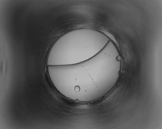 X0000097490061200802220849