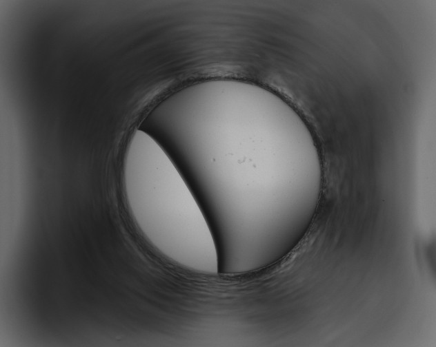 X0000097490062200802220849