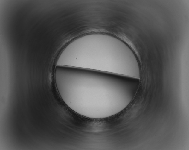 X0000097490063200802220849
