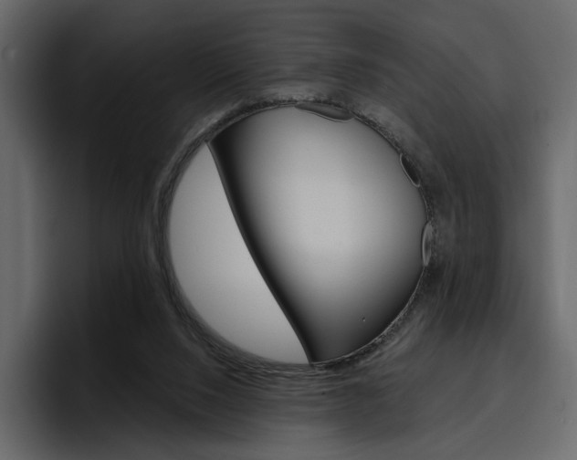 X0000097490064200802220849