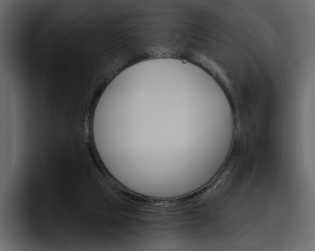 X0000097490065200802220849