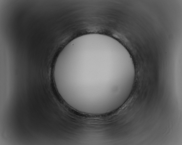 X0000097490066200802220849