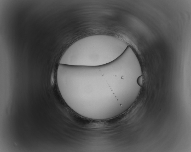 X0000097490069200802220849