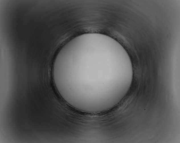 X0000097490071200802220849