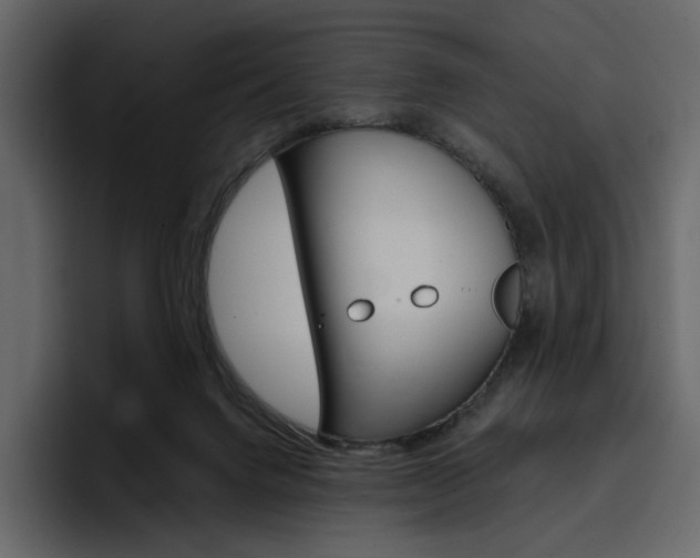 X0000097490072200802220849