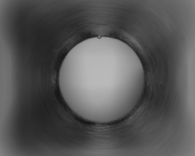 X0000097490073200802220849