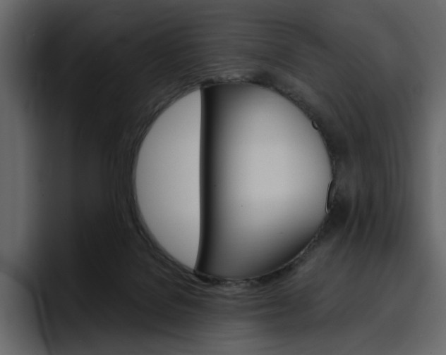 X0000097490076200802220849