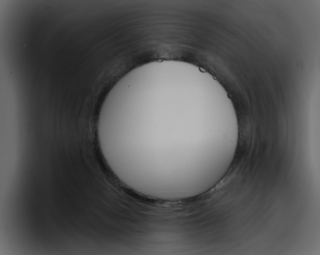 X0000097490078200802220849