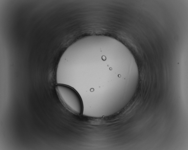X0000097490079200802220849
