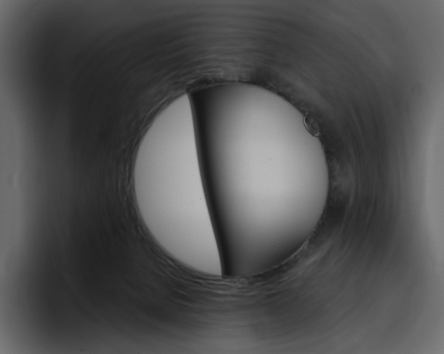X0000097490080200802220849