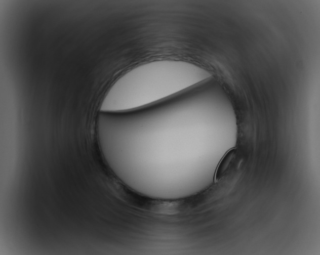 X0000097490081200802220849